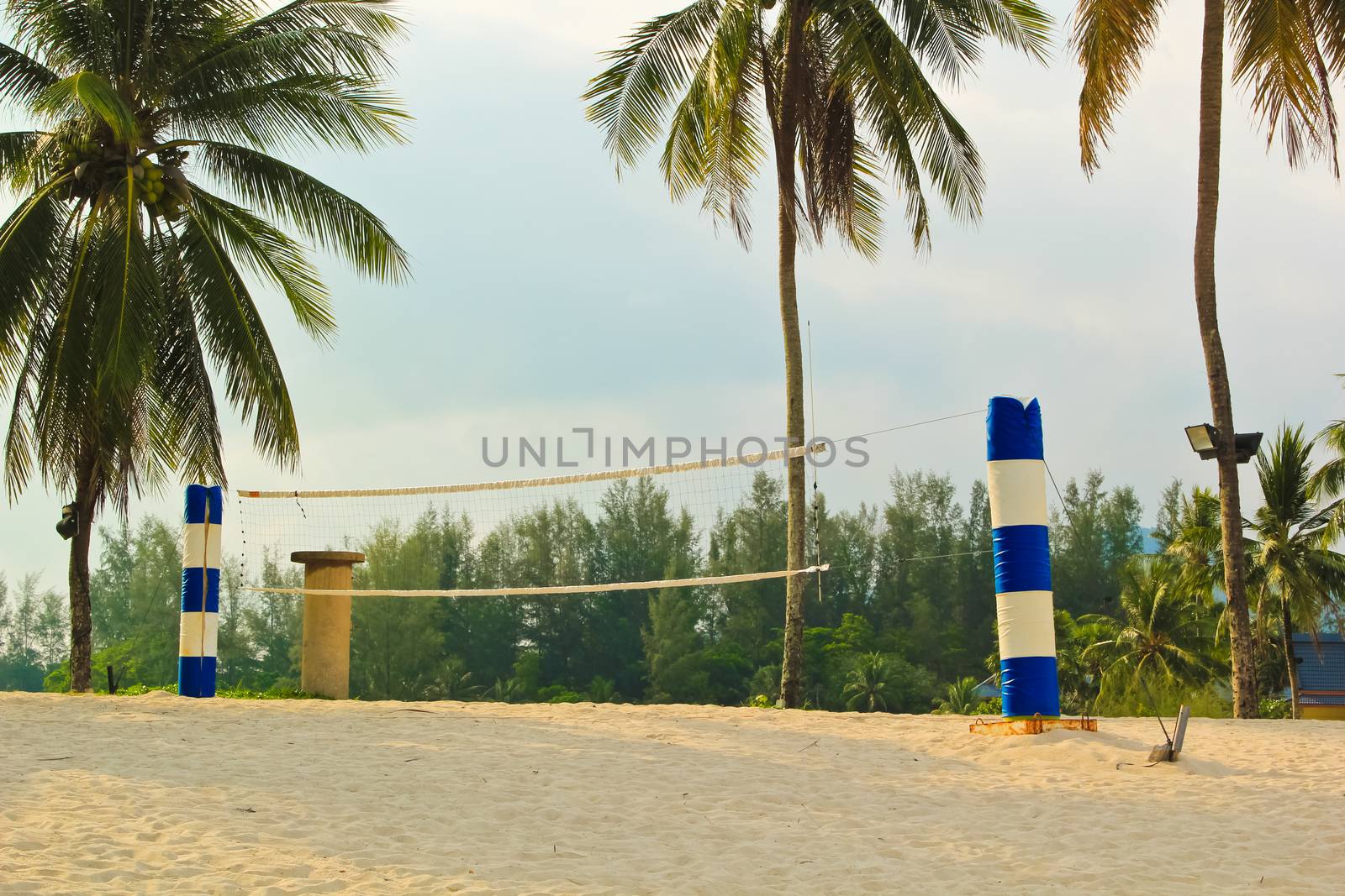 Beach volleyball net with white sand and coconut tree