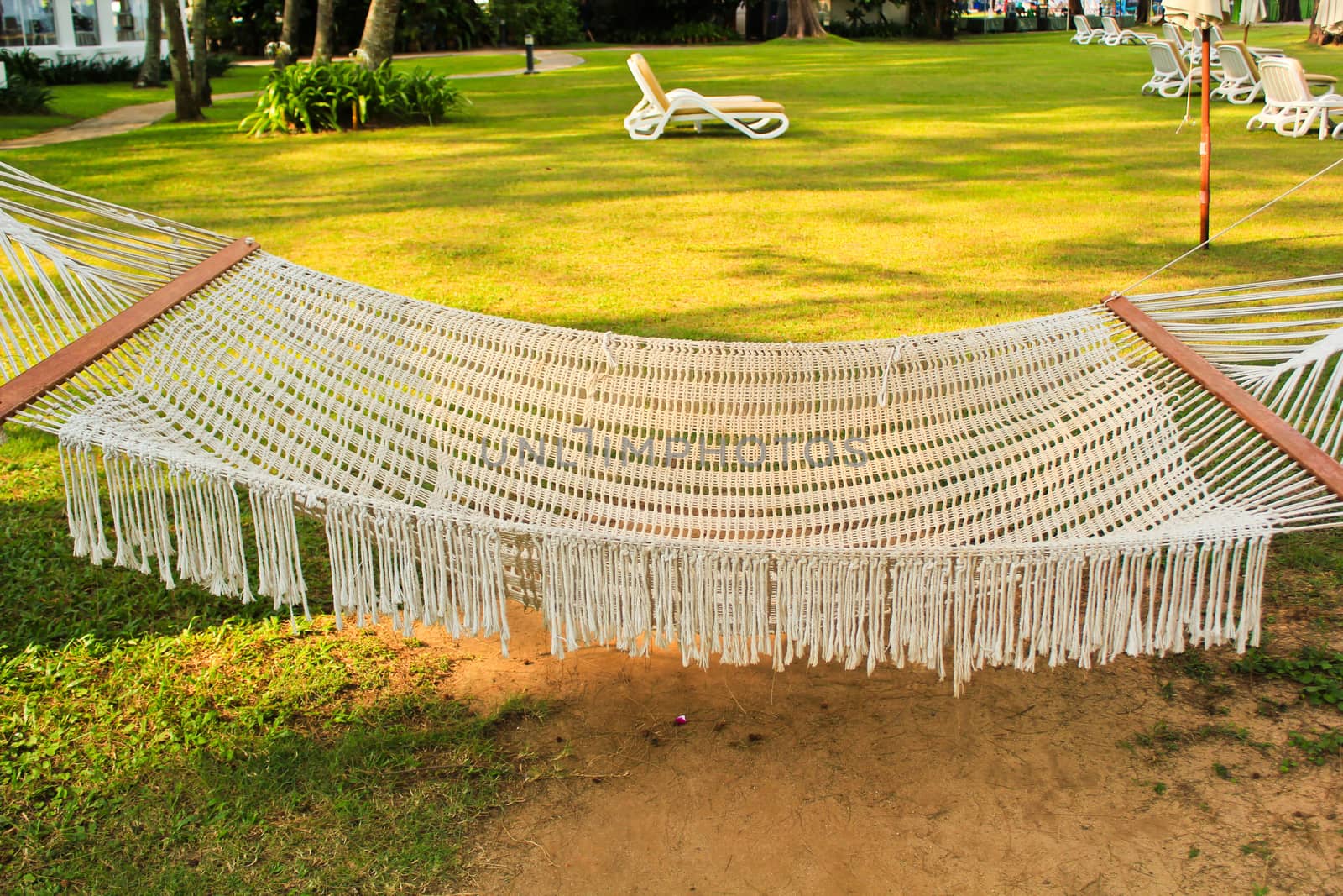 Hammock in the resort on the beach