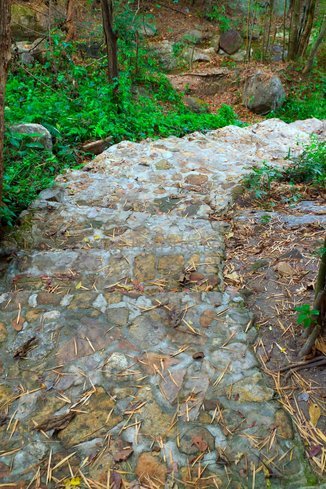 Way down old stair in home garden.