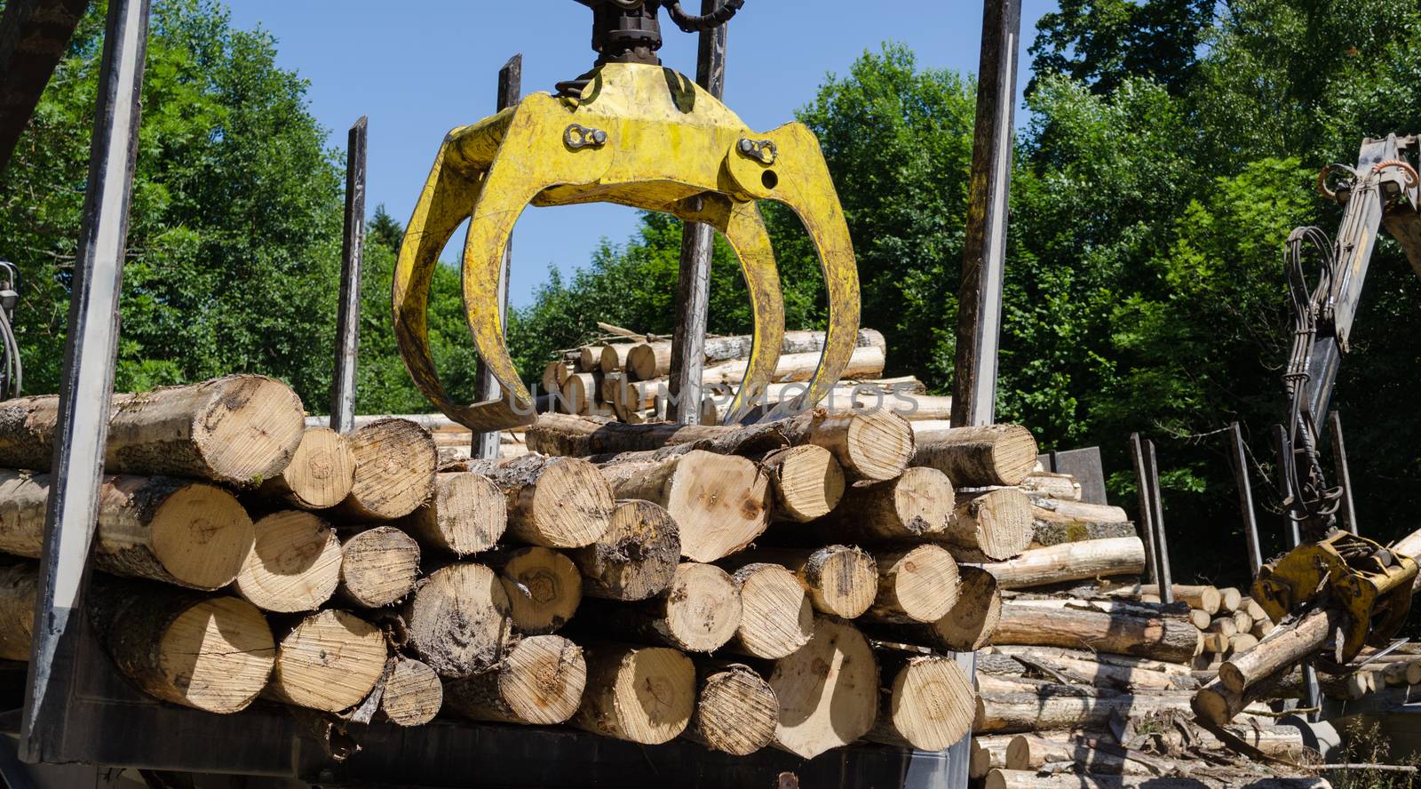 heavy work equipment loading with clipper cut logs by sauletas