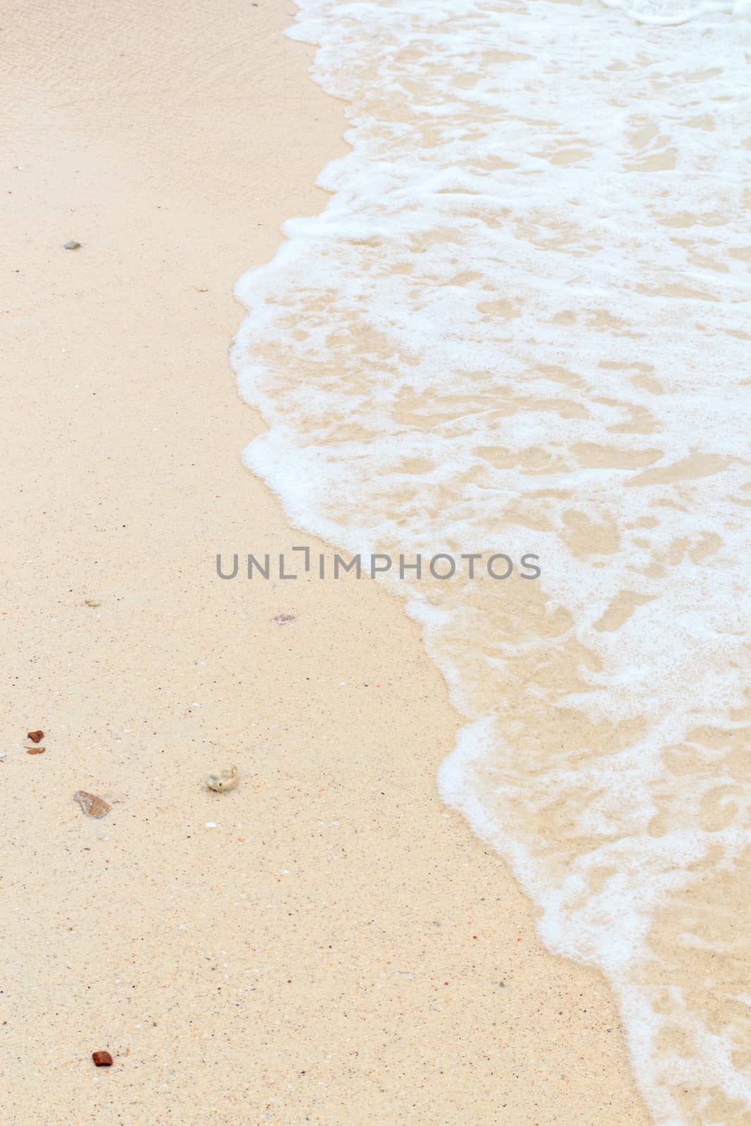 Soft wave of the sea on the sandy beach 