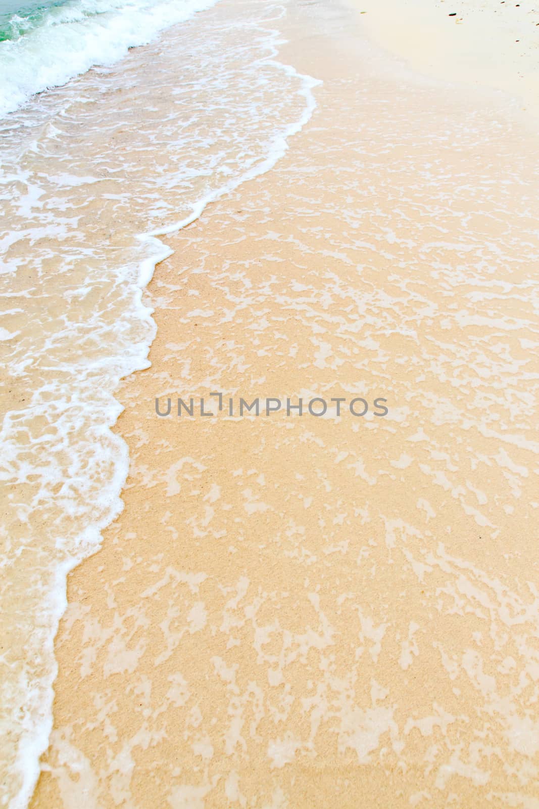 Soft wave of the sea on the sandy beach 