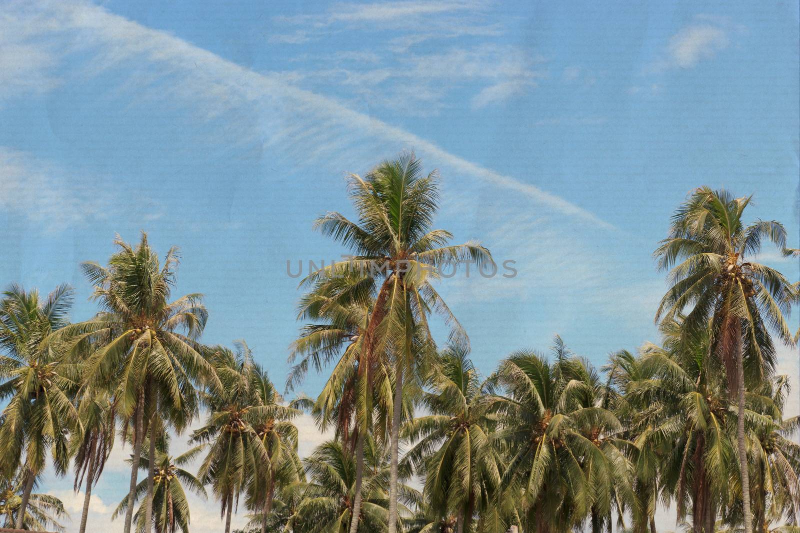 Palm trees with coconut under blue sky on an old paper.