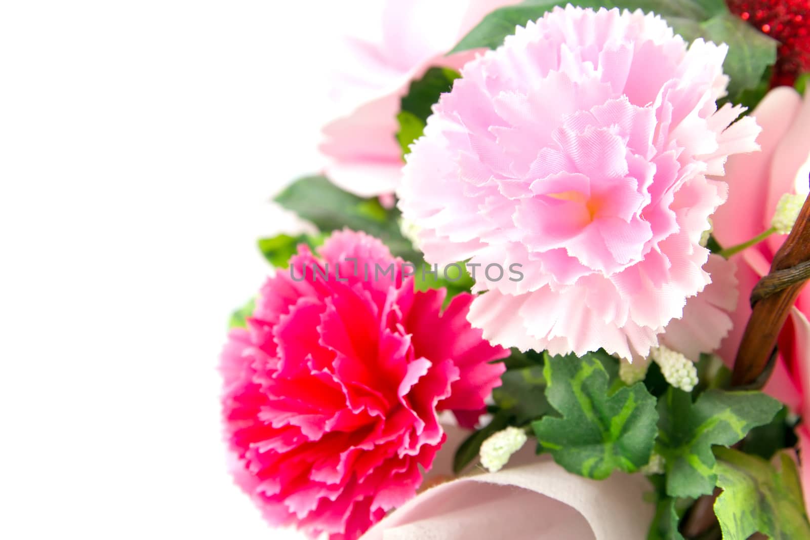 Pink fake flowers is isolated on a white.