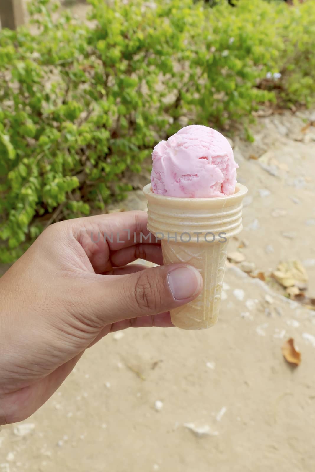 One scoop of strawberry ice creams with cone.