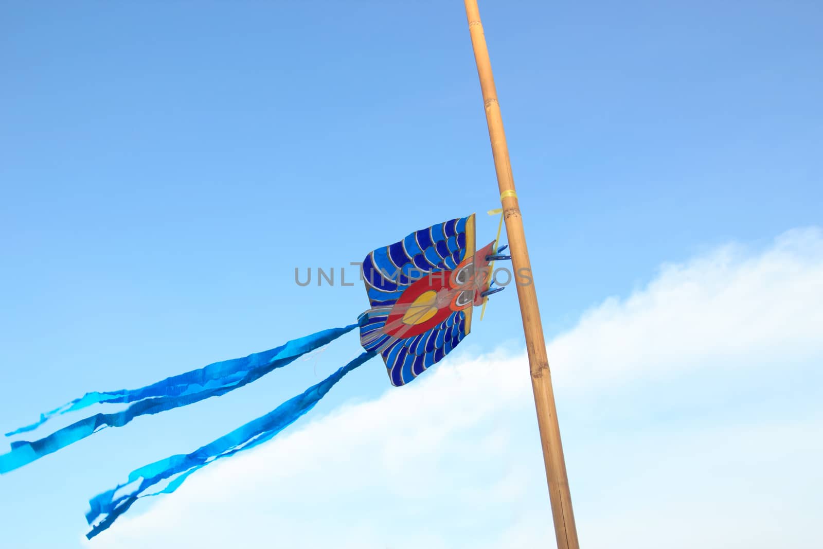 Beautiful kite flying in the blue sky.