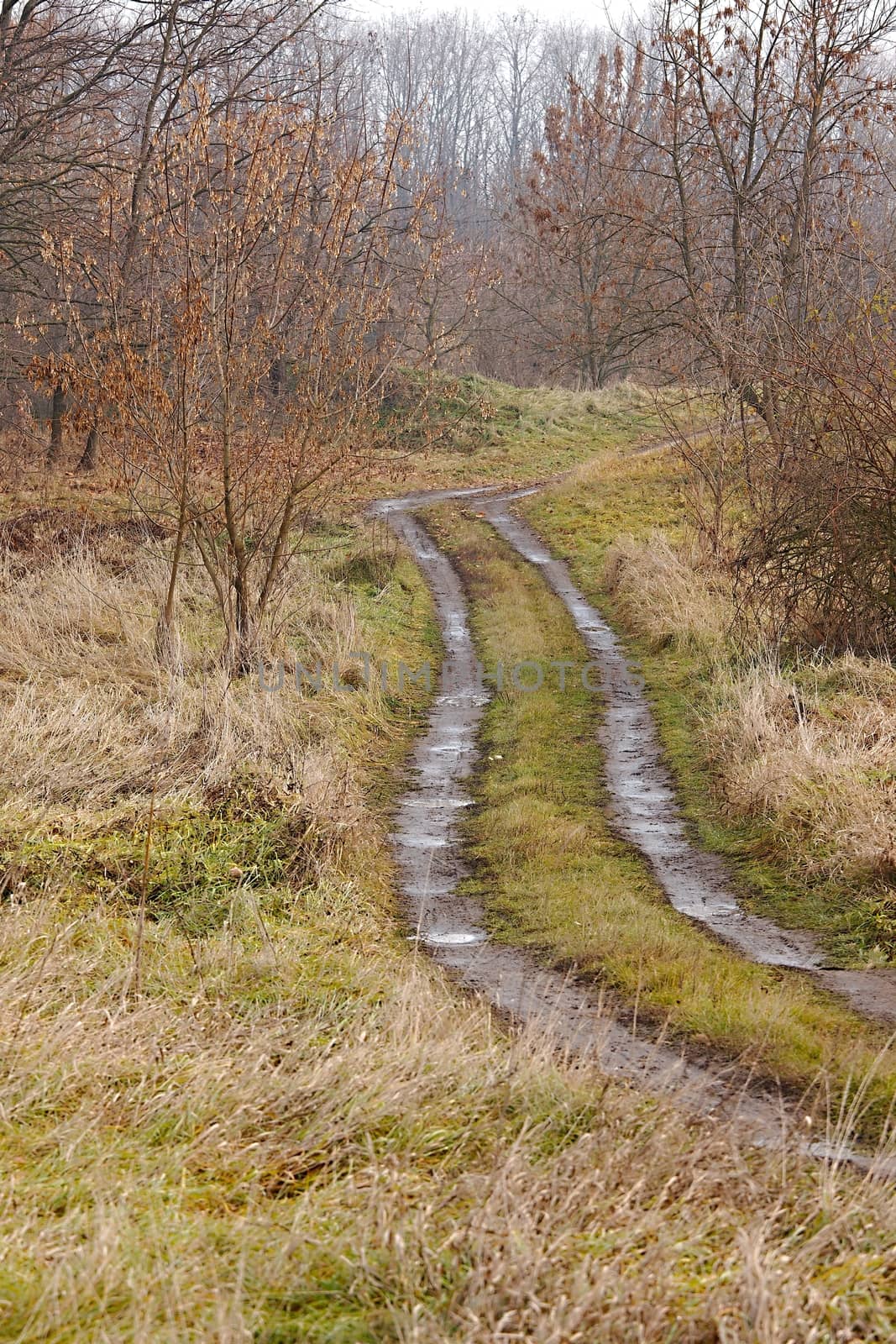 Dirtroad crossing the countryside