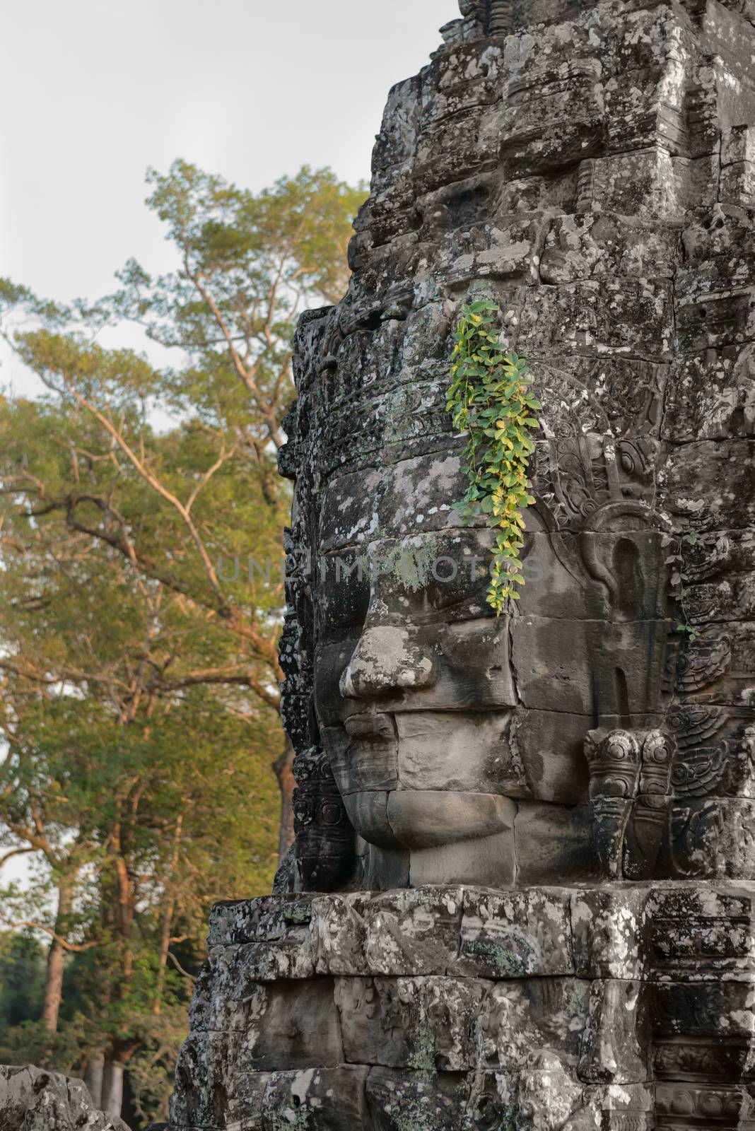 Stone face in ancient Bayon temple, Angkor in Cambodia by iryna_rasko