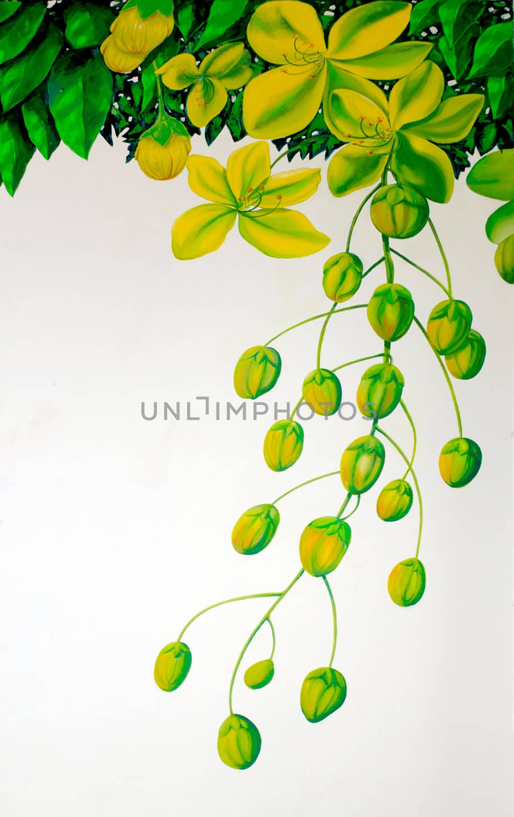 Painting on the wall with cassia flower pattern.