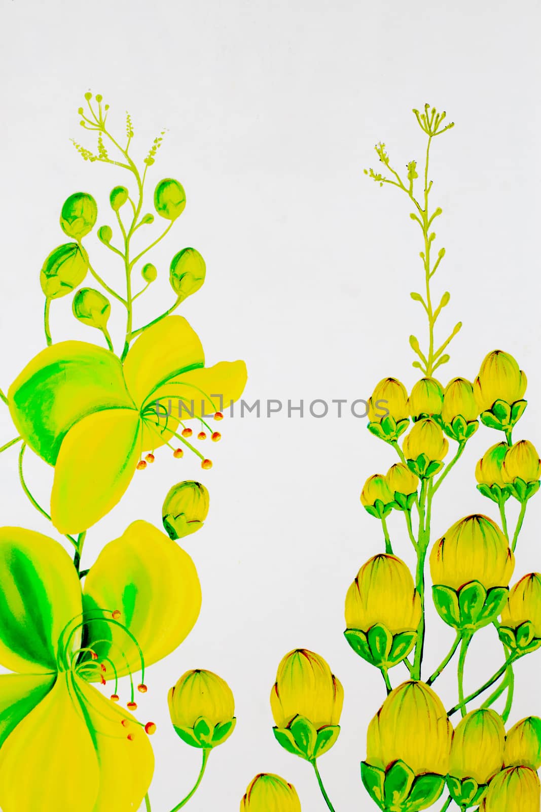 Painting on the wall with cassia flower pattern.