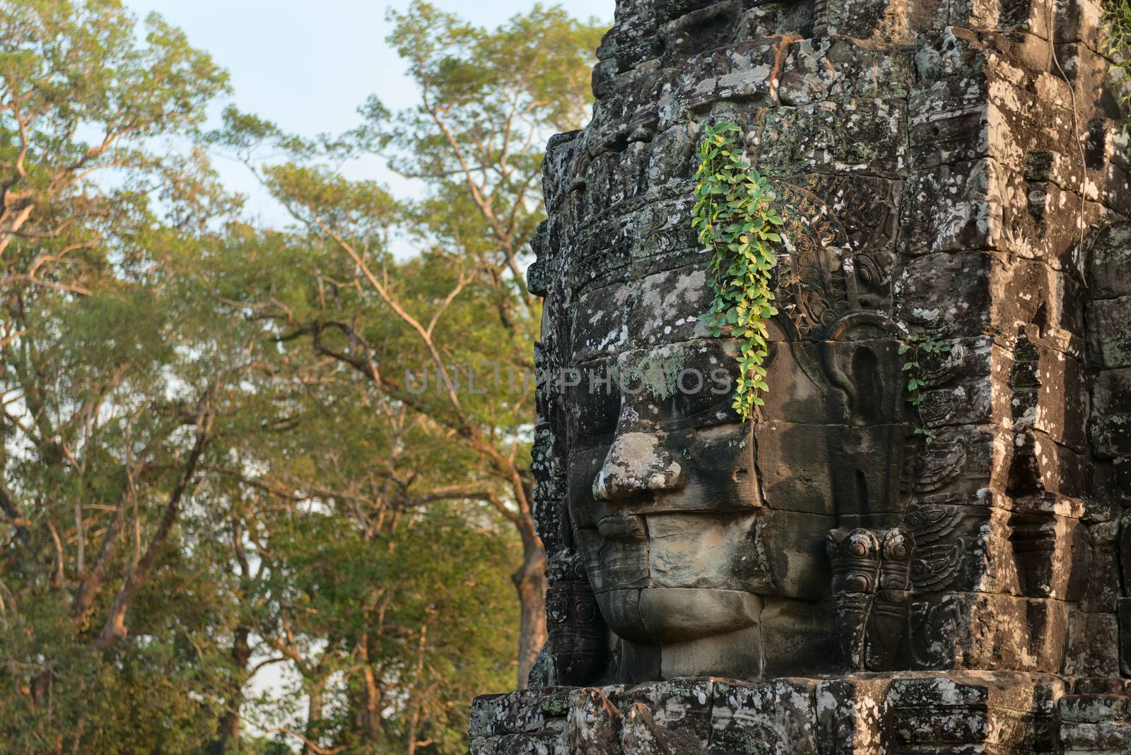 Stone face in ancient Bayon temple, Angkor in Cambodia by iryna_rasko