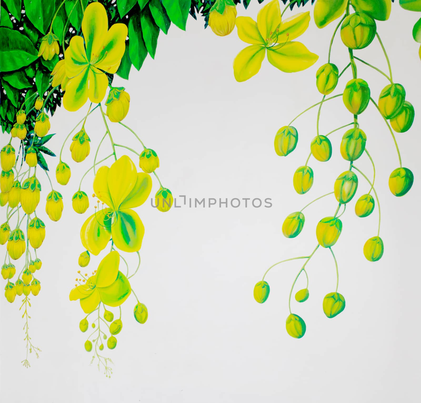 Painting on the wall with cassia flower pattern.