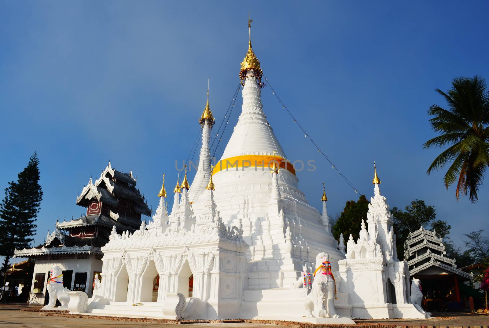 Phra Tad Doi Kong Mu,Pagoda(Chedi,Stupa) of Tai Yai's Buddhist in Thailand.
