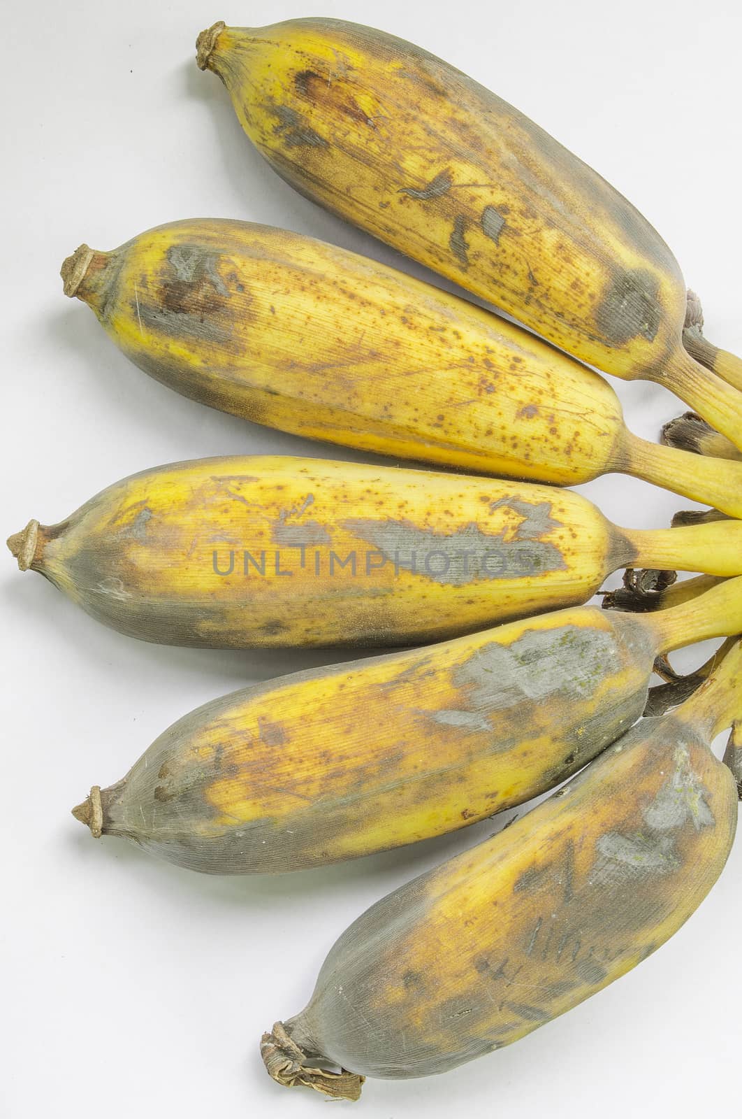 The Overripe Bananas on the White Background.