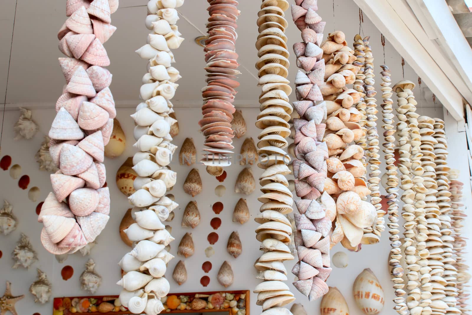 Handicrafts produced by the many types of seashell.