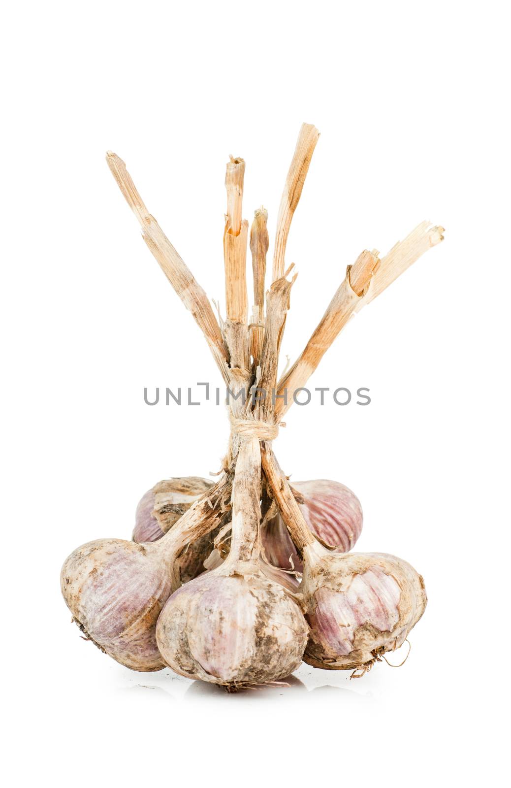 Closeup view of bunch of garlic isolated on white background.