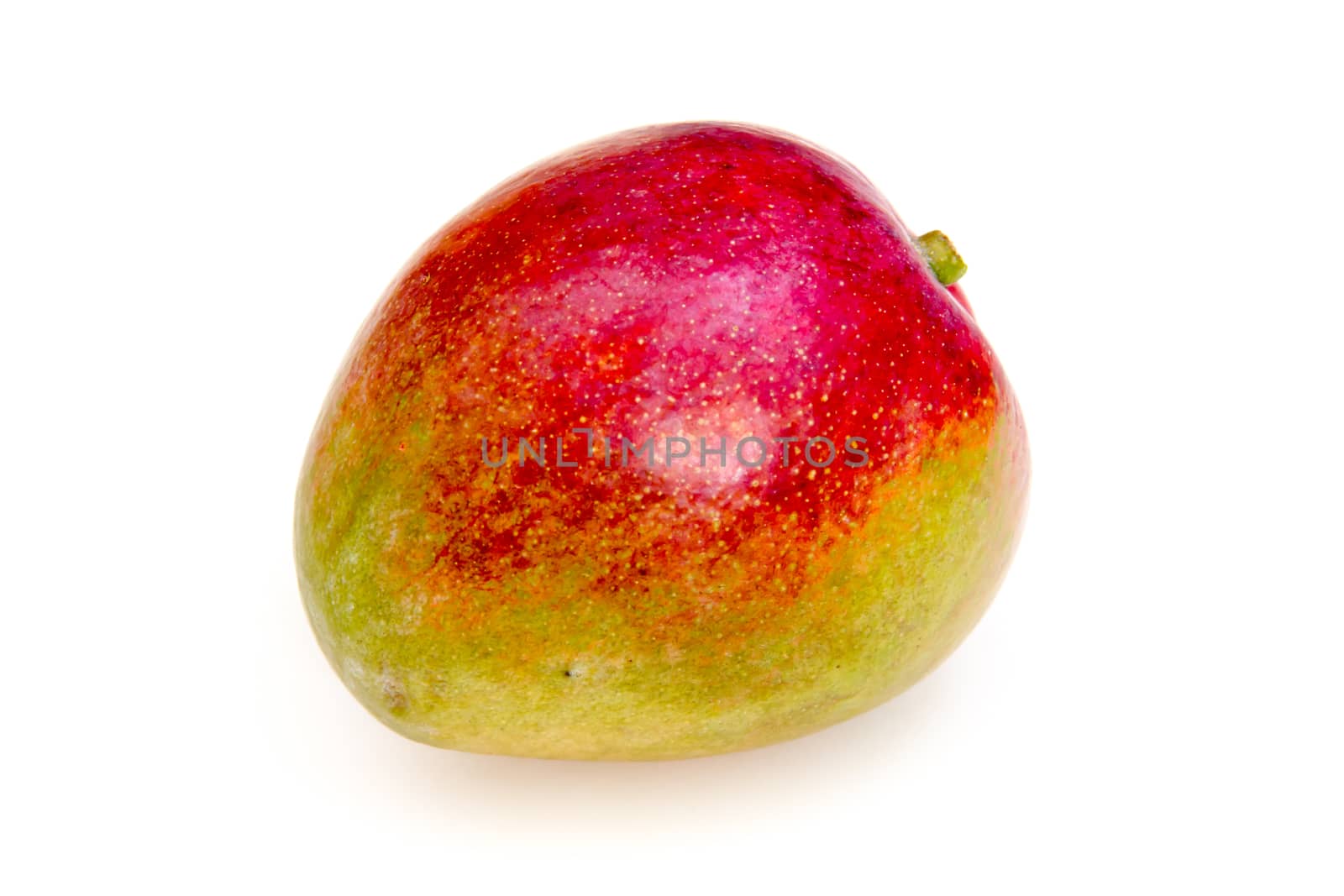Mango by spafra