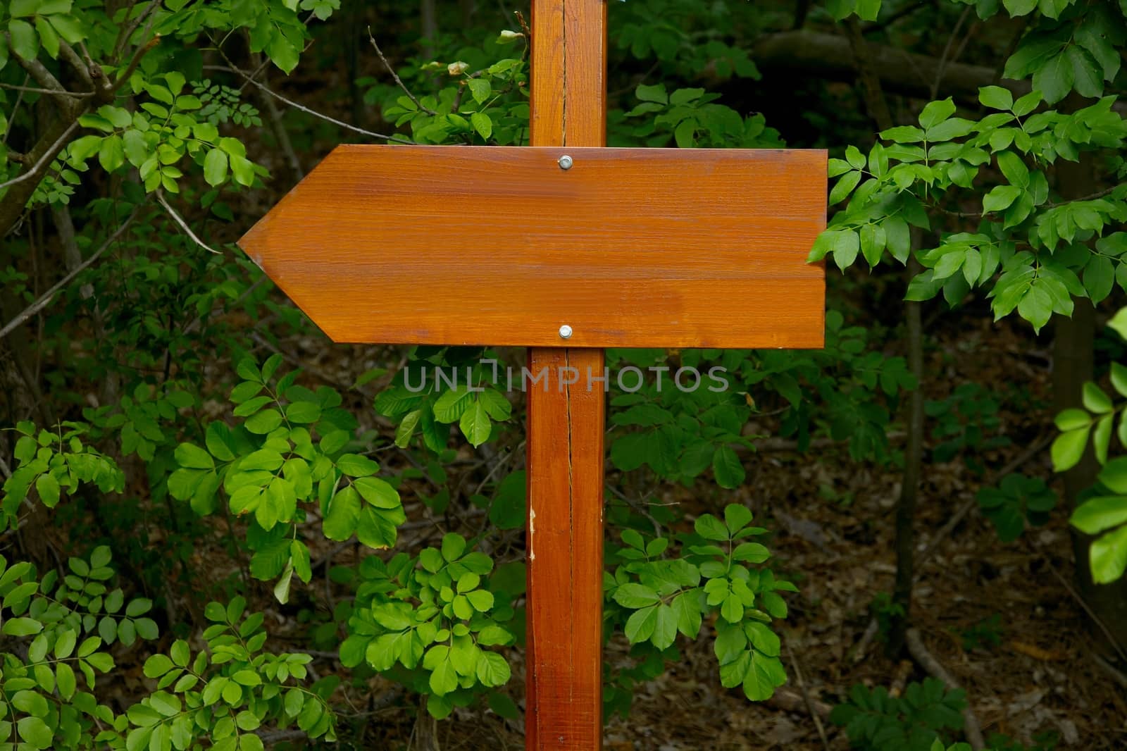 Direction sign in the woods