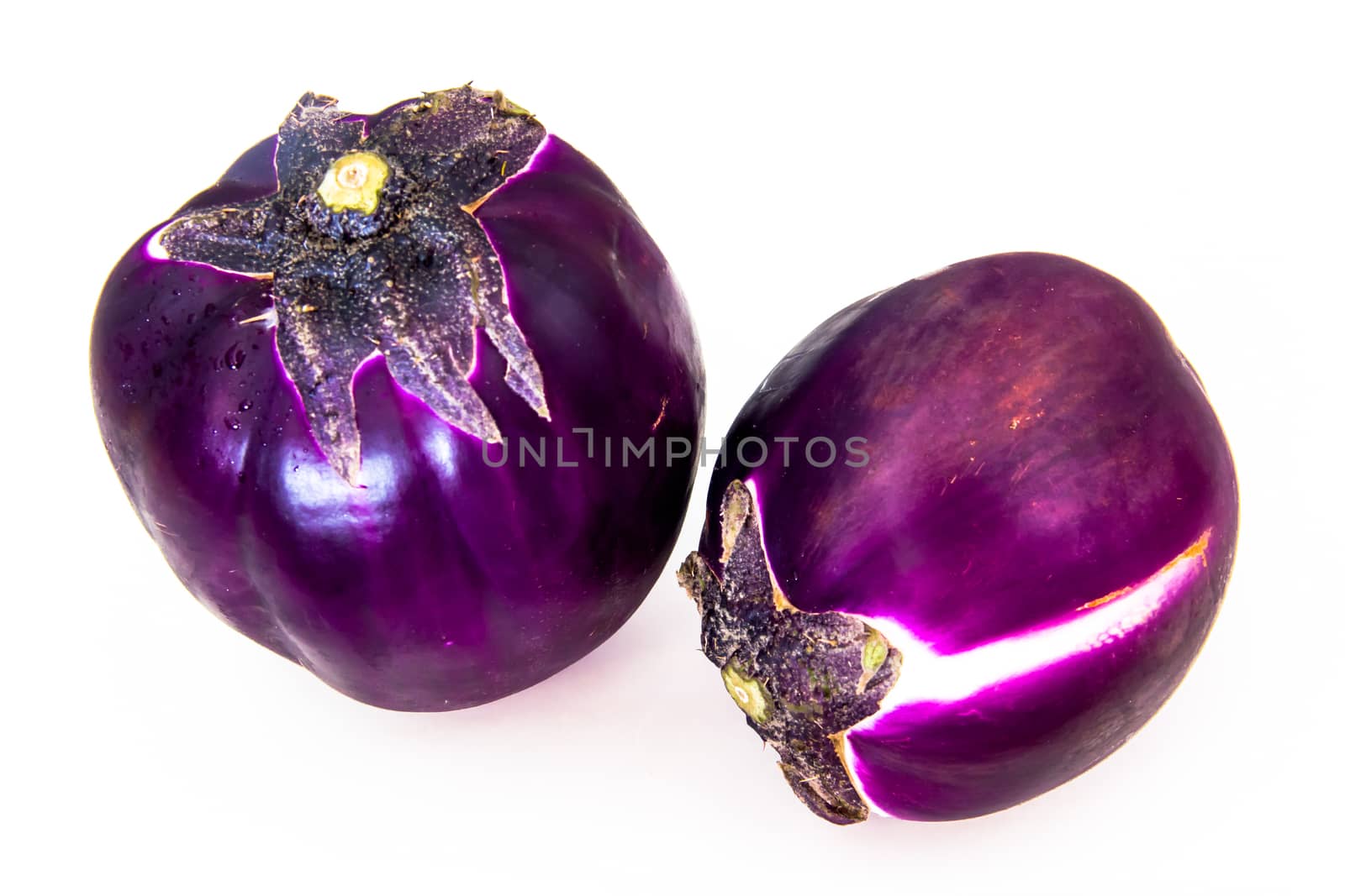Round eggplants on white background