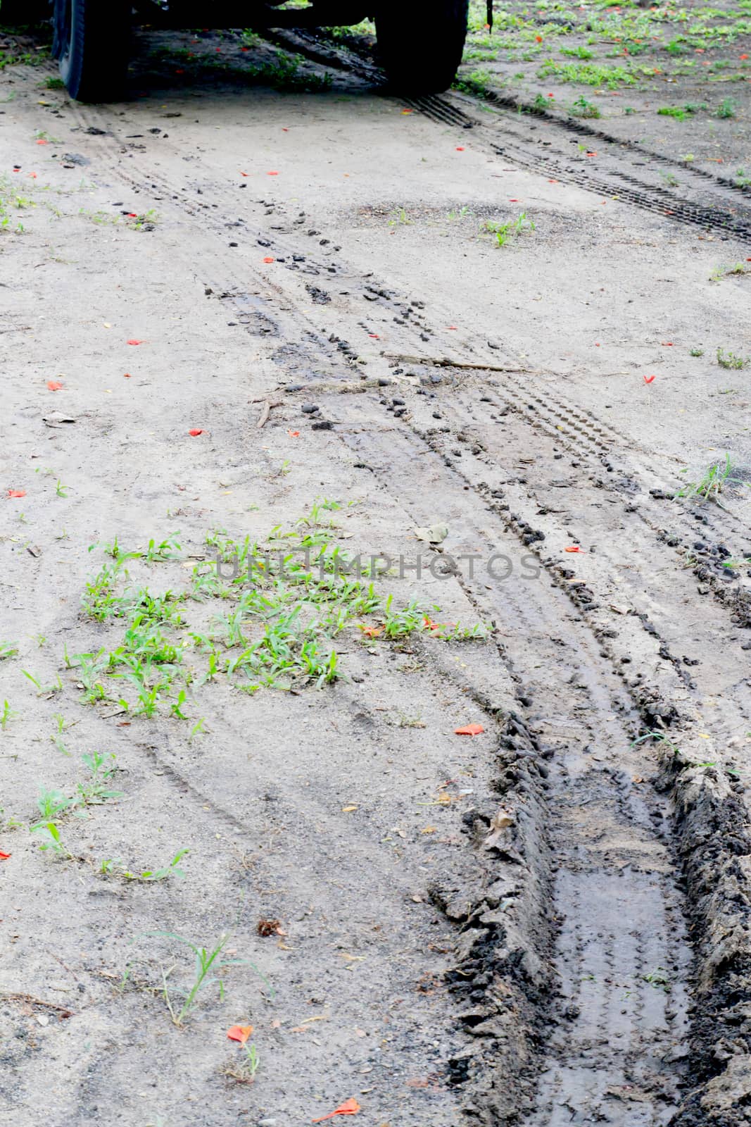 An image of a tire track on the soil.