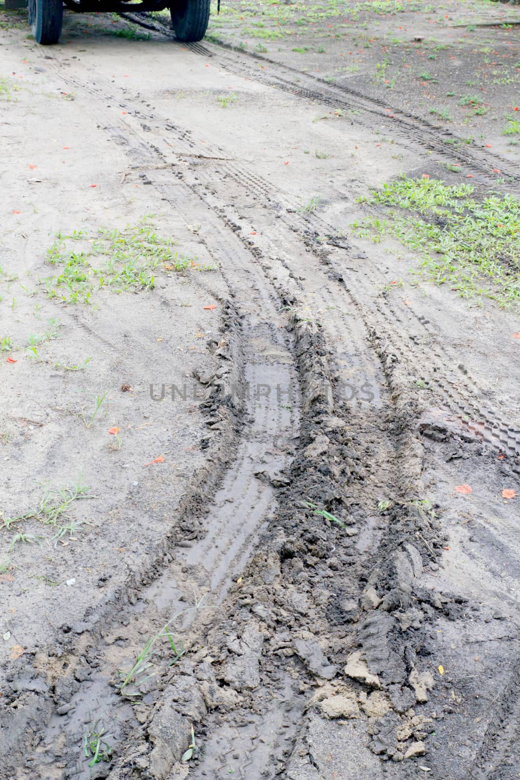 An image of a tire track on the soil.