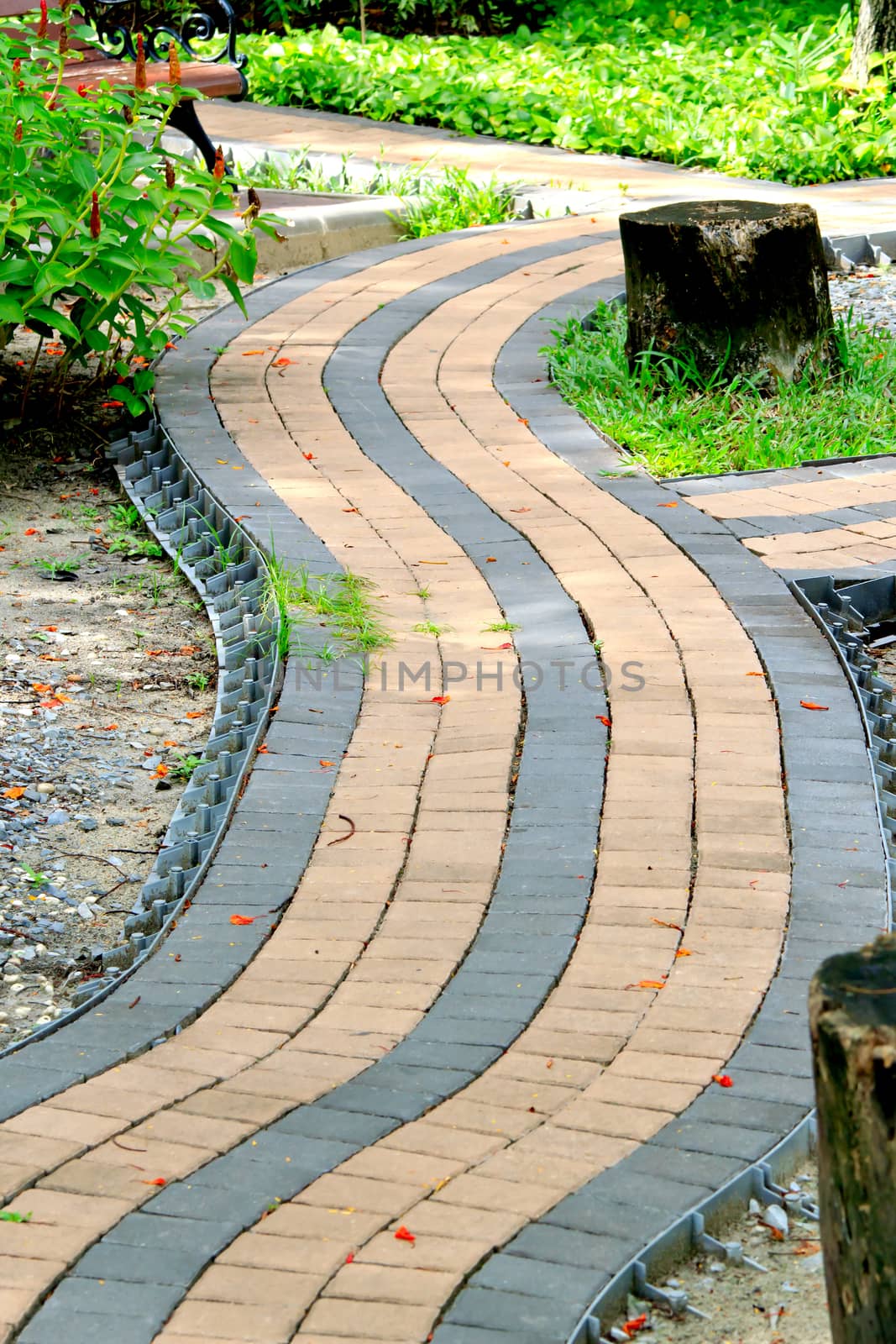 Walkwalk made of bricks in various colors at garden.