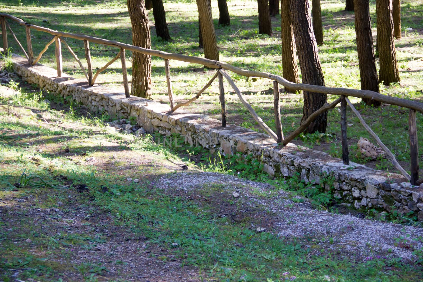 Fence beside the path in the park