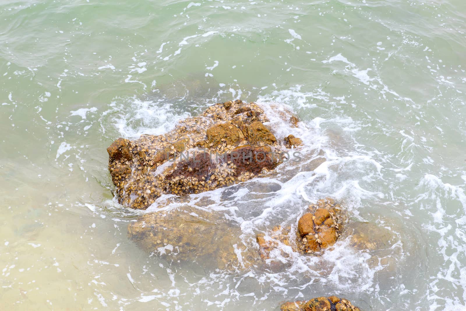 Rock the ocean waves crashing all the time.