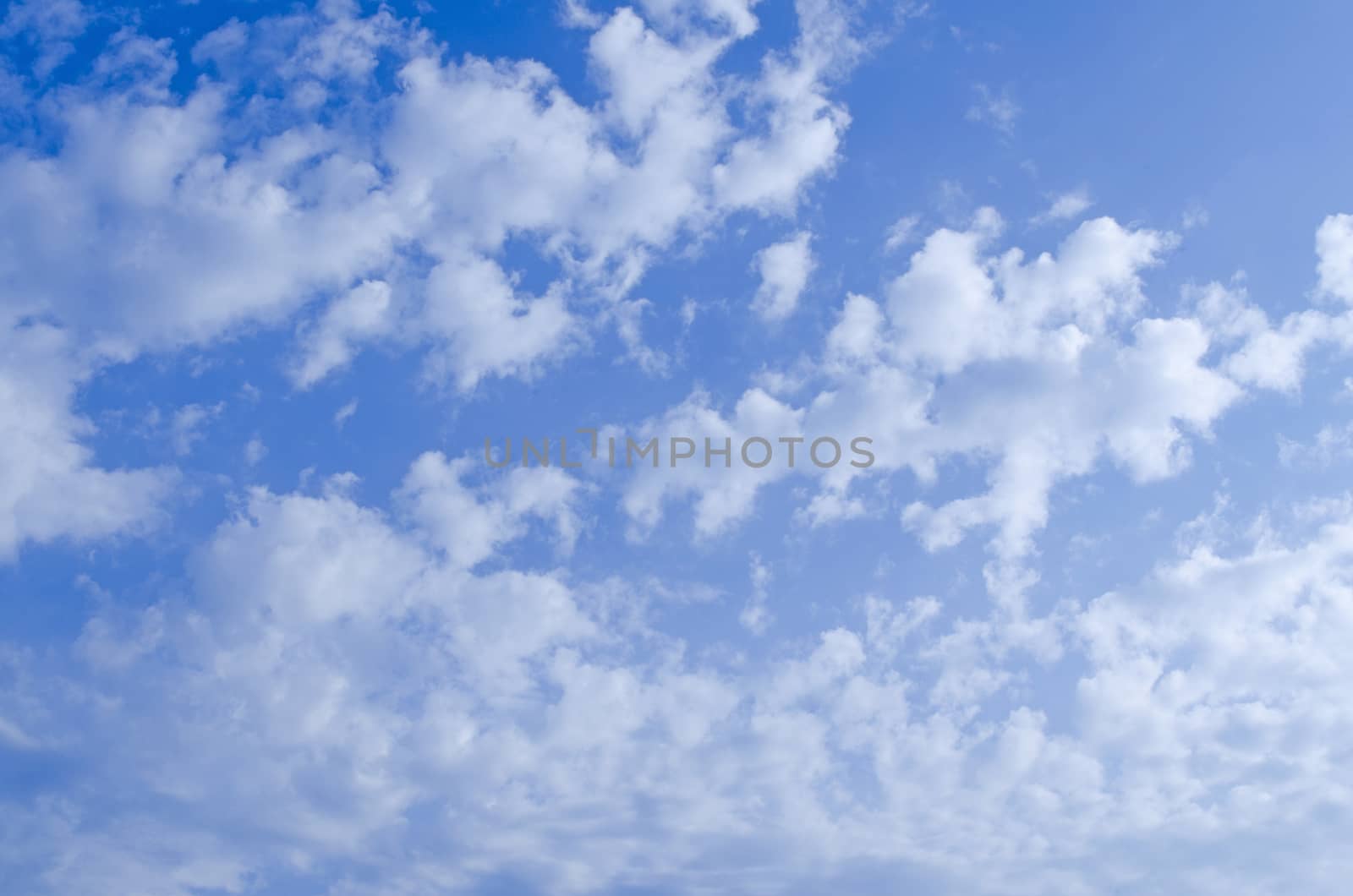 Cloud and Sky in the Sunny Blue