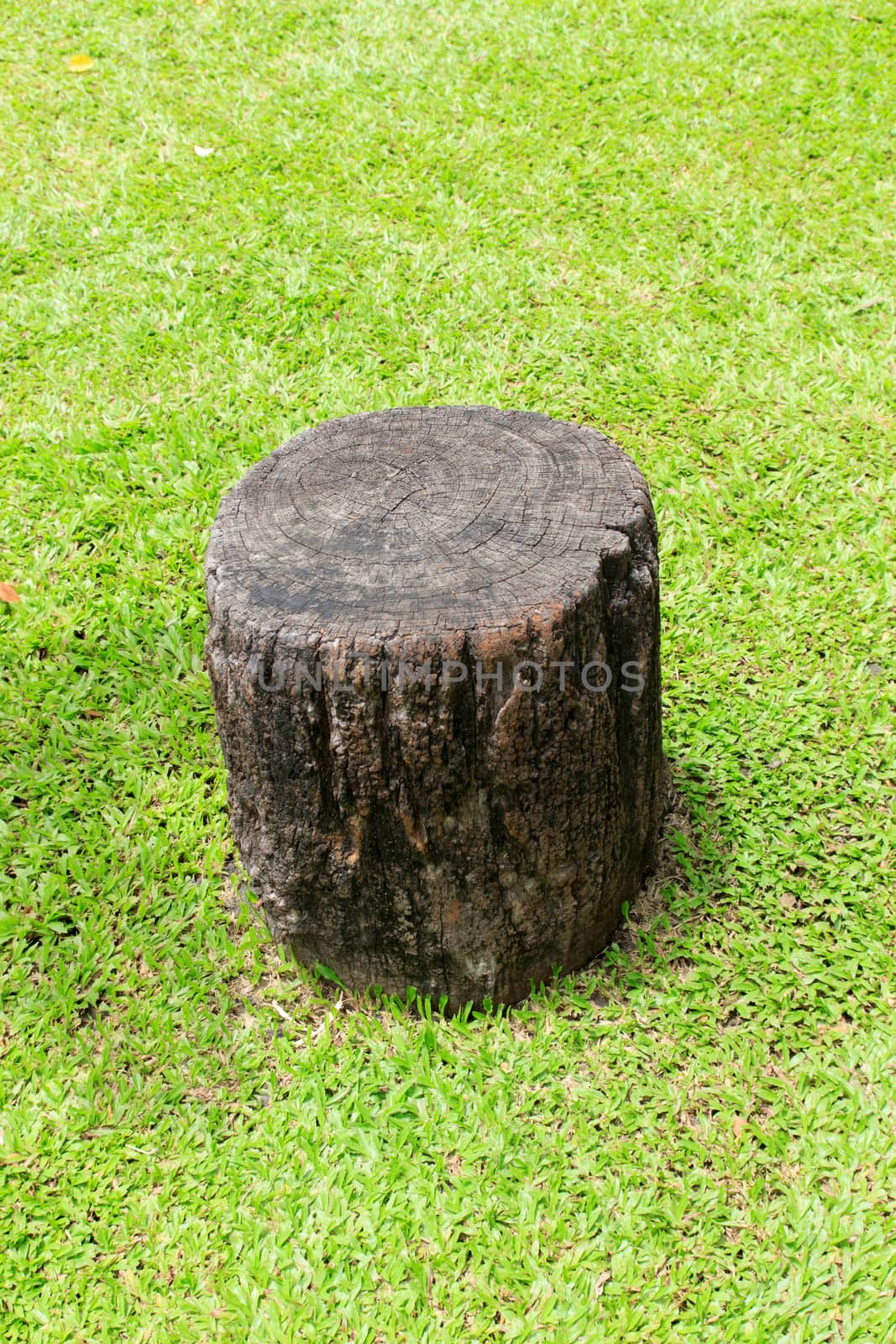 The chair is made of real wood.