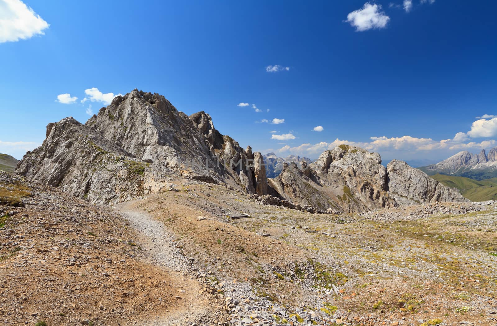 footpath on Costabella ridge in San Pellegrino valley, Trentino, Italy