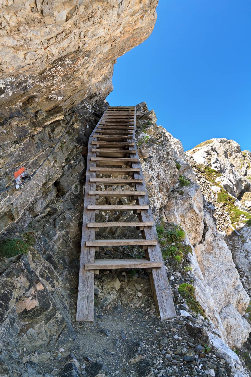 alpine path with wooden ladder between the rocks