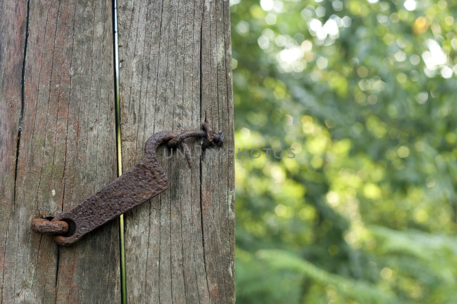 Old lock to a garden gate. Selective focus