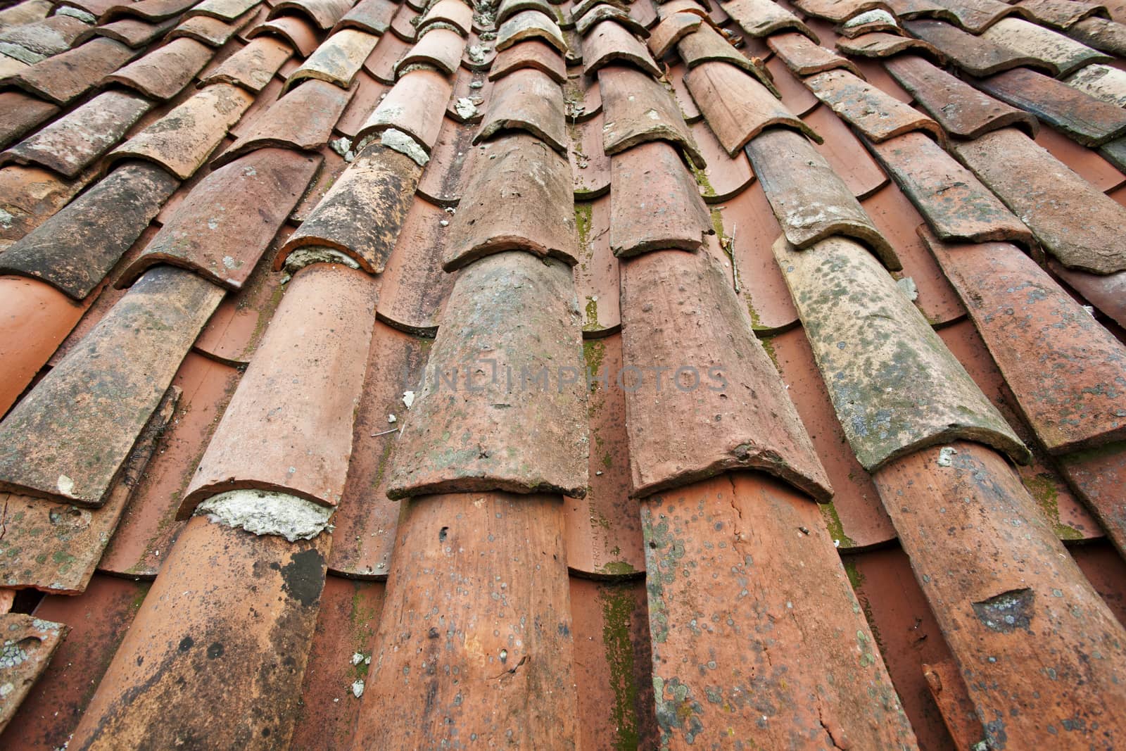 Old tile roof detail in North Spain