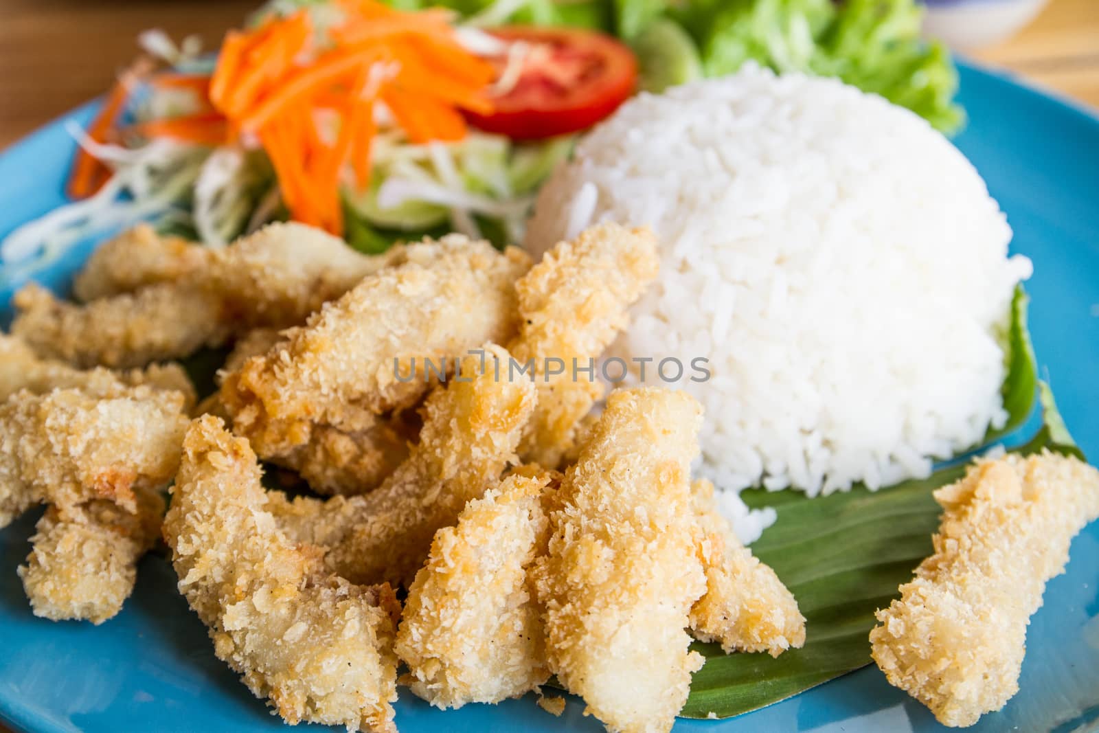 Deep fried pork with rice by kasinv