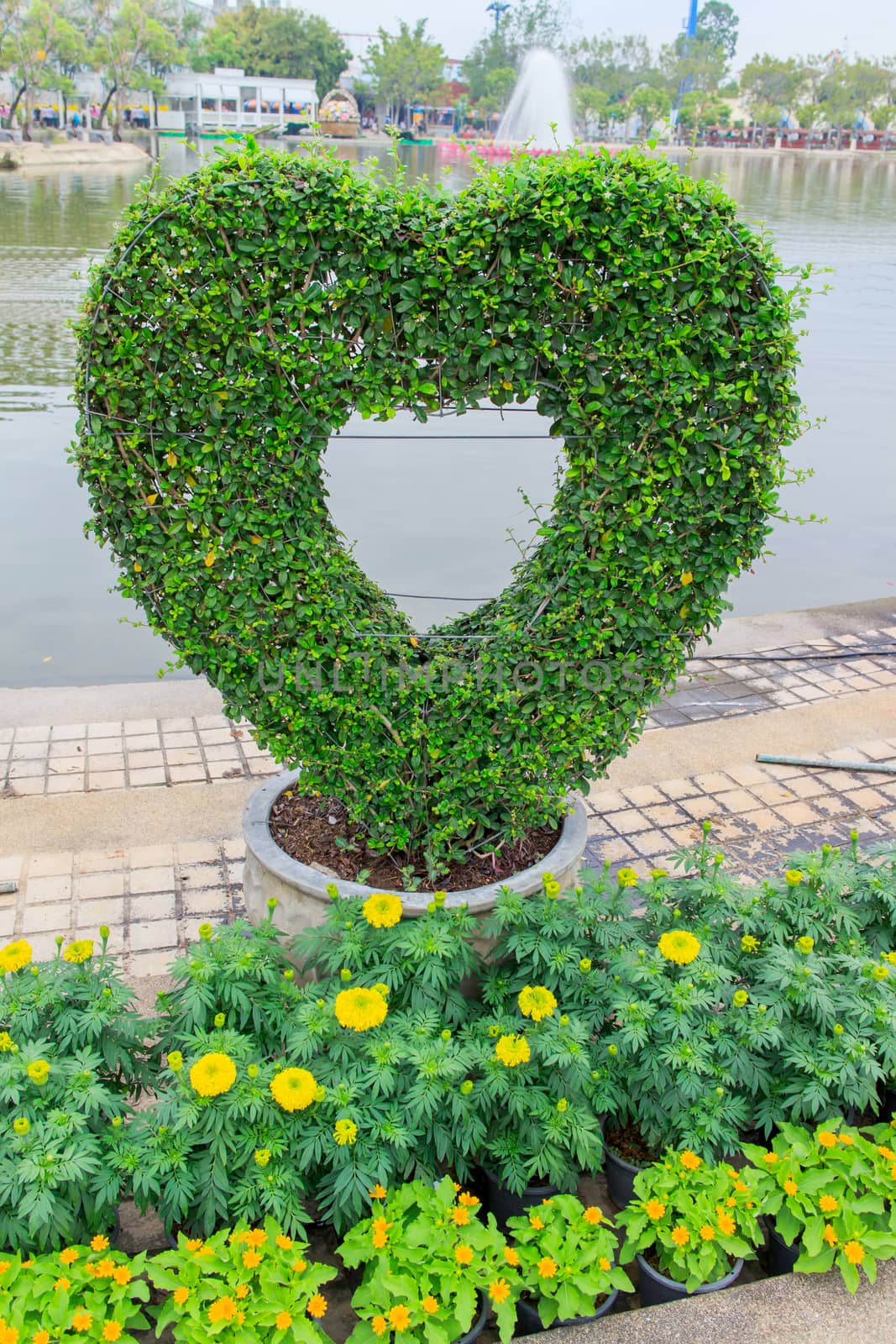 Decorate Tree plantations is a green heart.