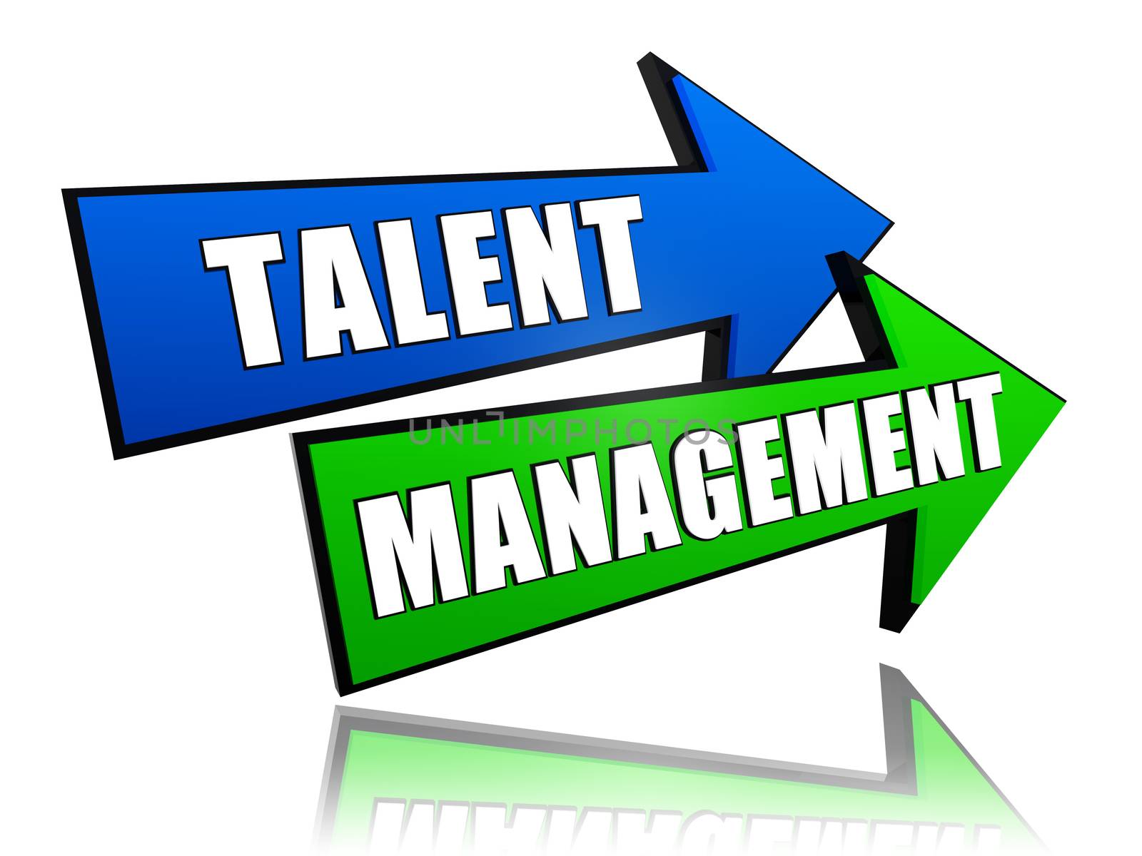 talent management in arrows by marinini