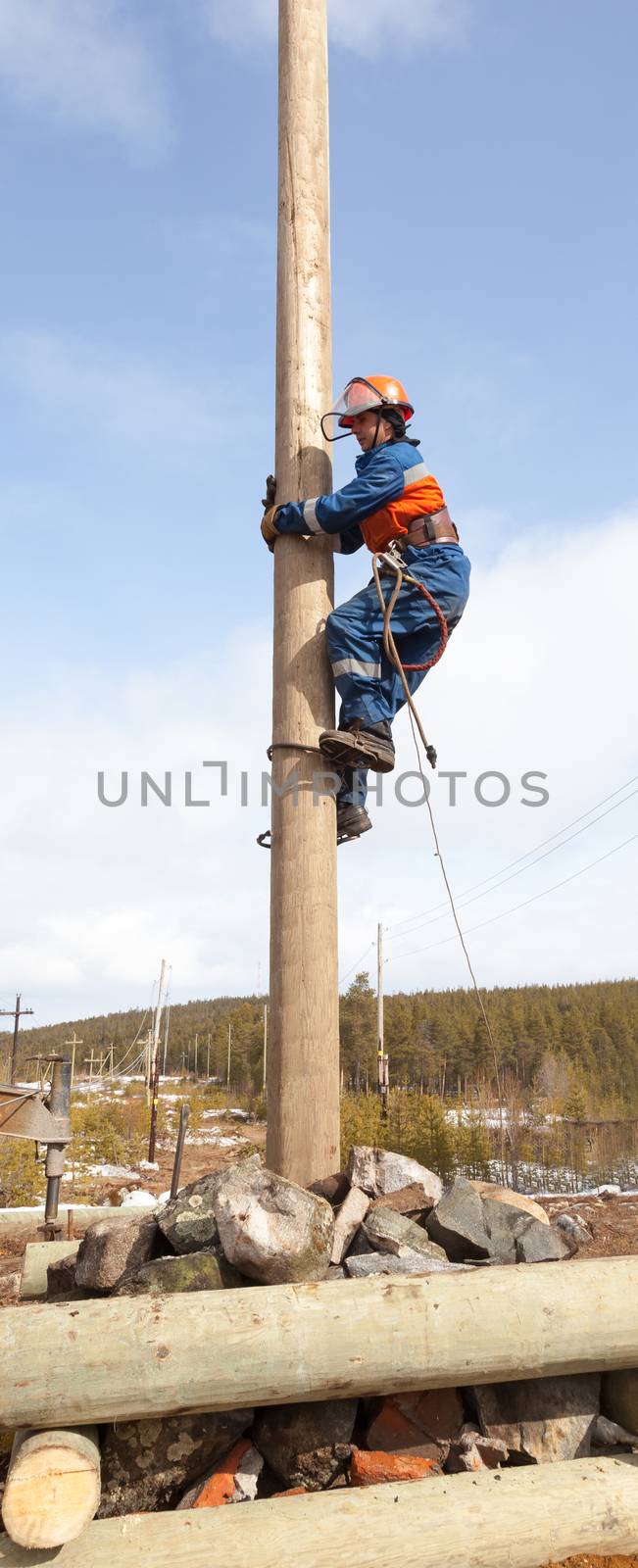 Electrician begins to climb on a power pole with a claw-Lazikans and safety belt 