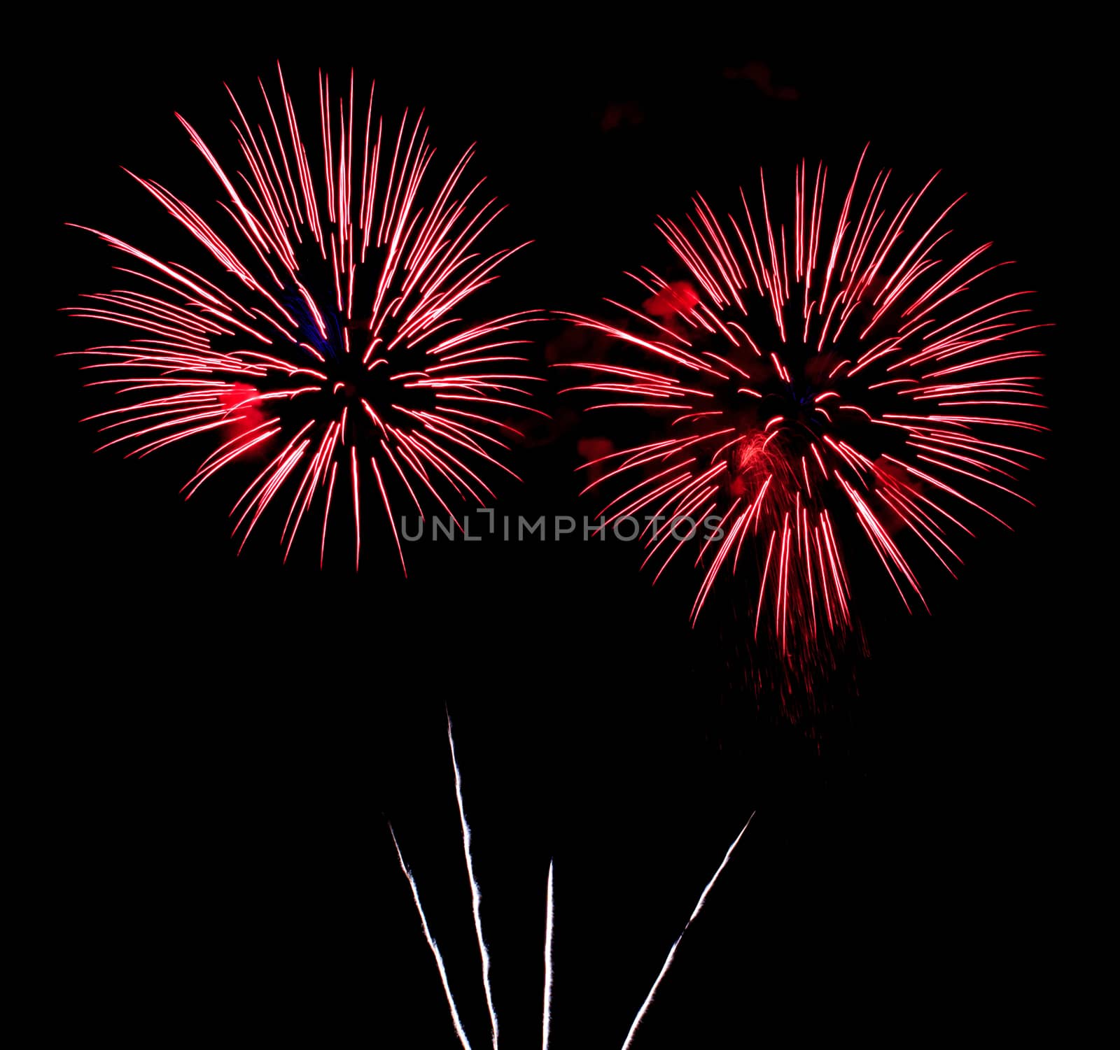 Exposure of multiple fireworks with a black sky.