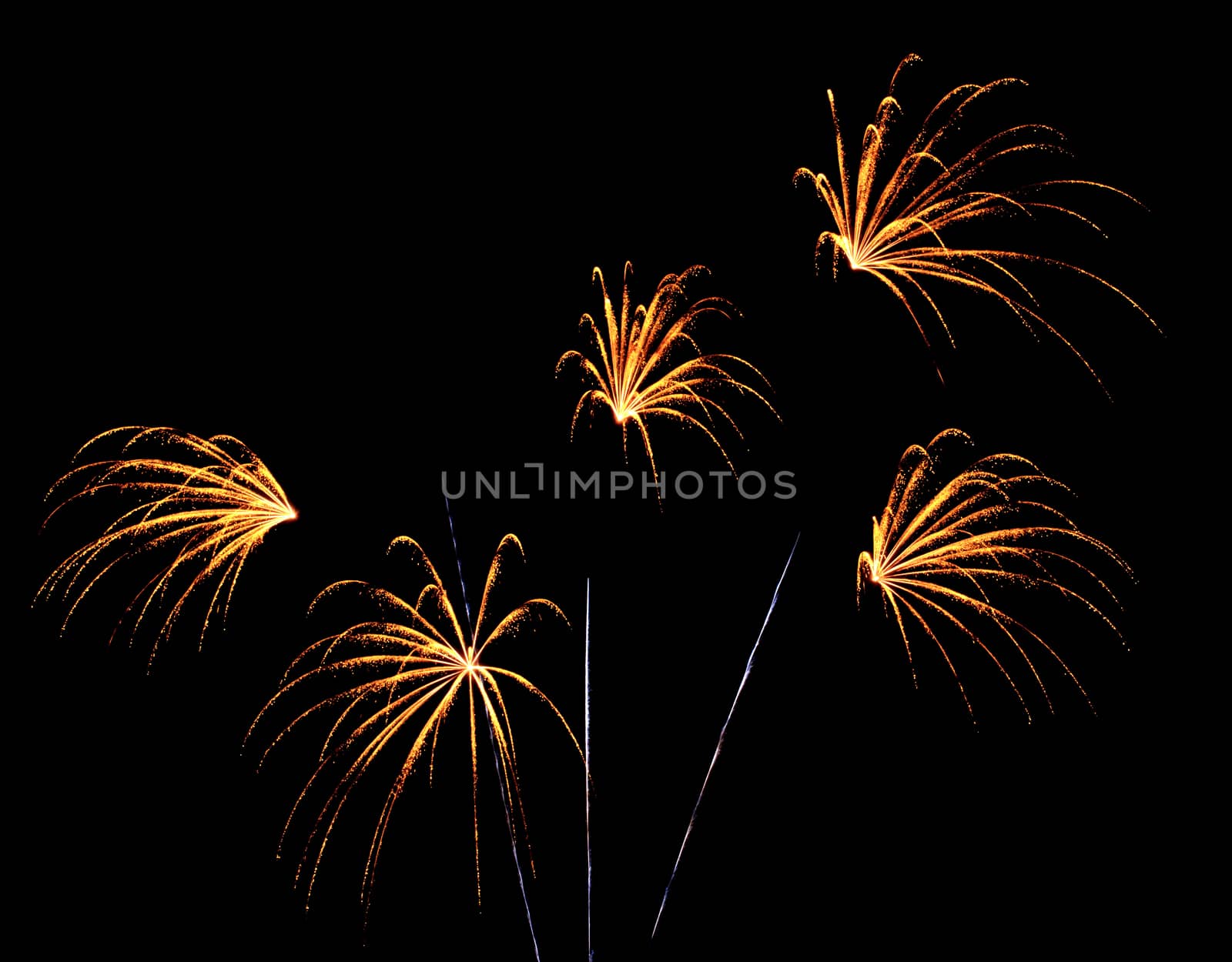Exposure of multiple fireworks with a black sky.