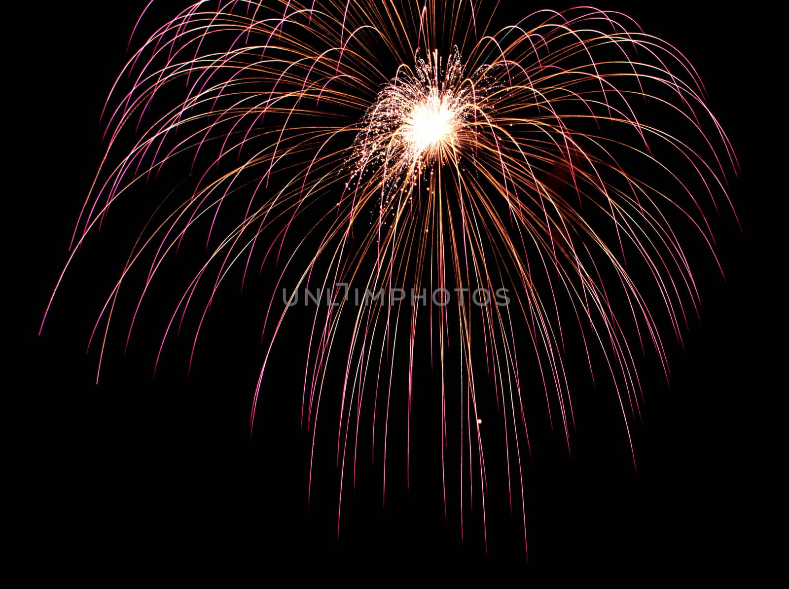 Exposure of multiple fireworks with a black sky.