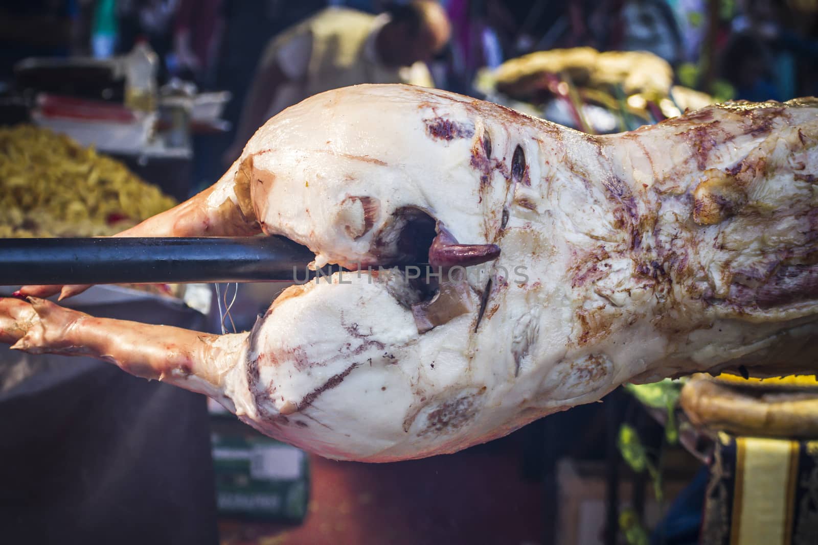 huge grilled pork fact, medieval fair in Spain