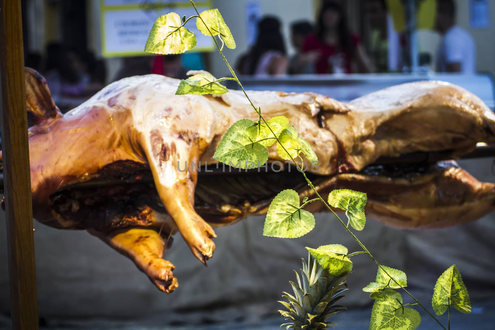 huge grilled pork fact, medieval fair in Spain