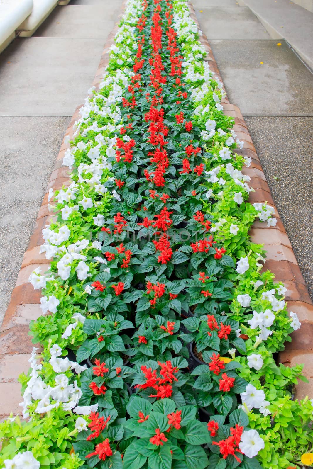 Flowers on to a long line of many colors.