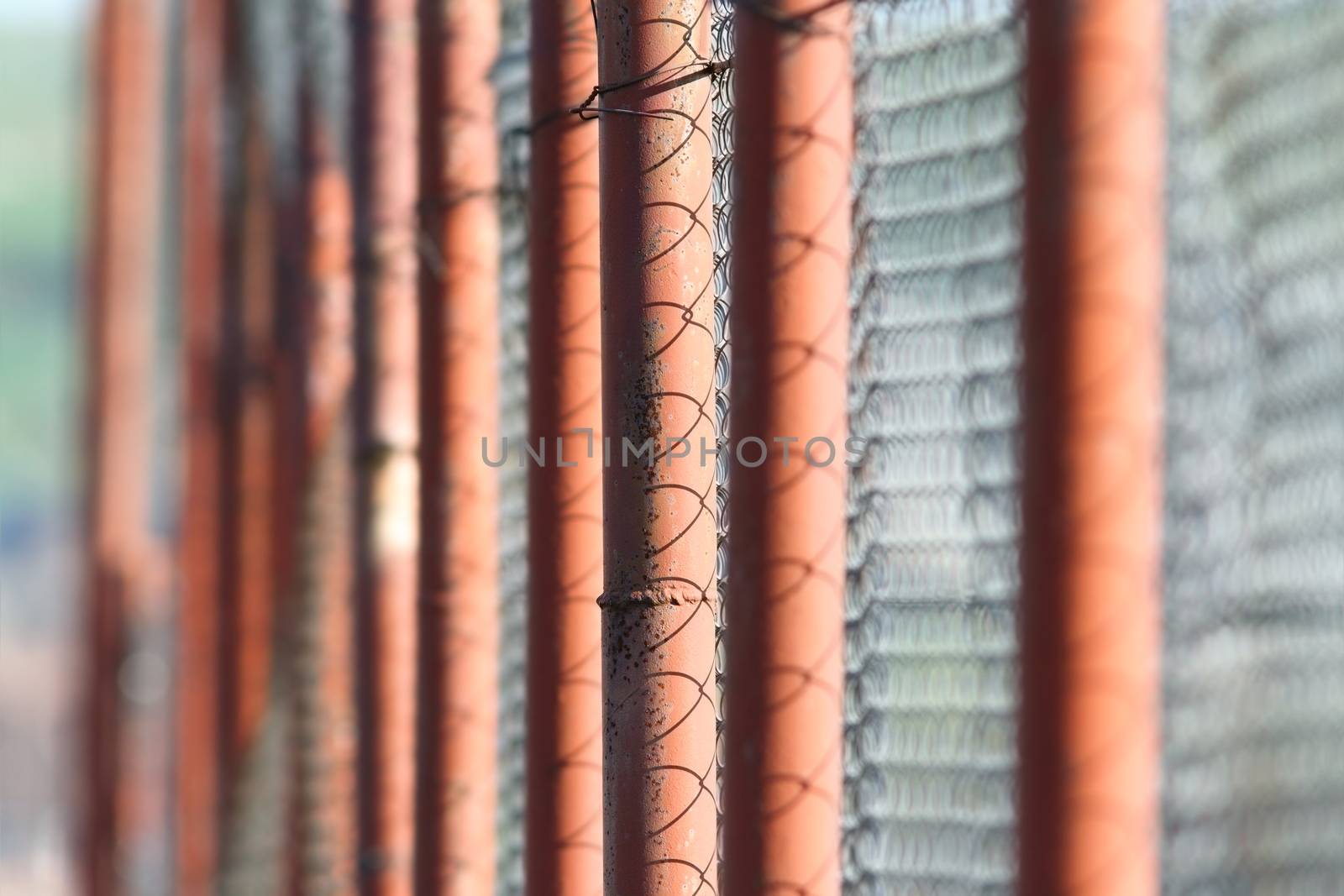 perspective view of rusty metal fence by taviphoto