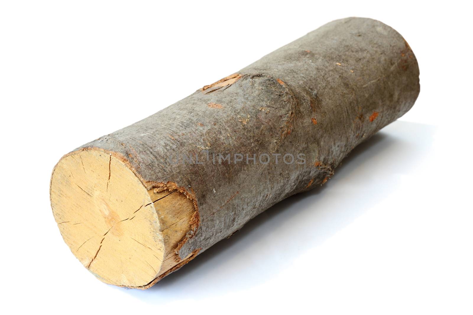 piece of firewood ( beech wood ) with shadow over white background