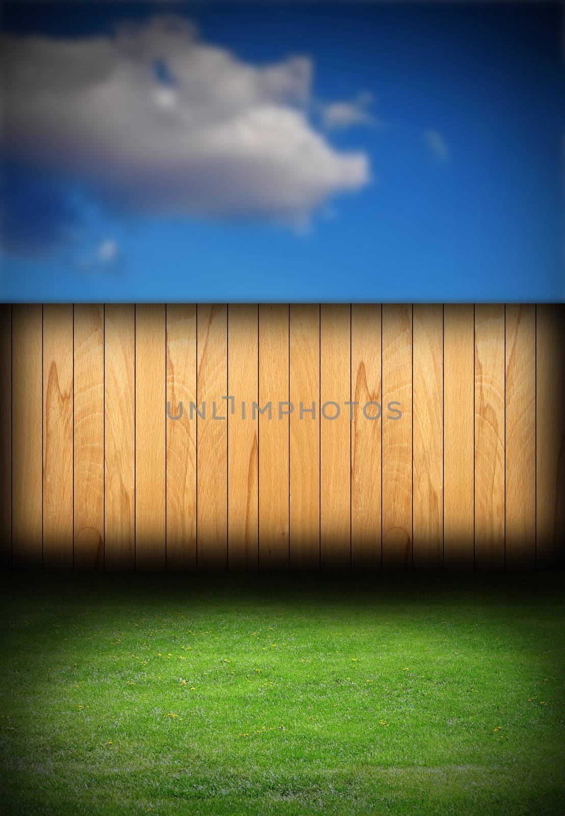 spruce fence in backyard, natural backdrop with green lawn and blue sky