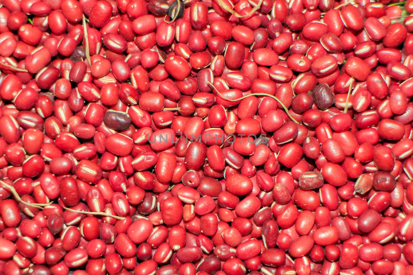 Red beans to make a patterned background.