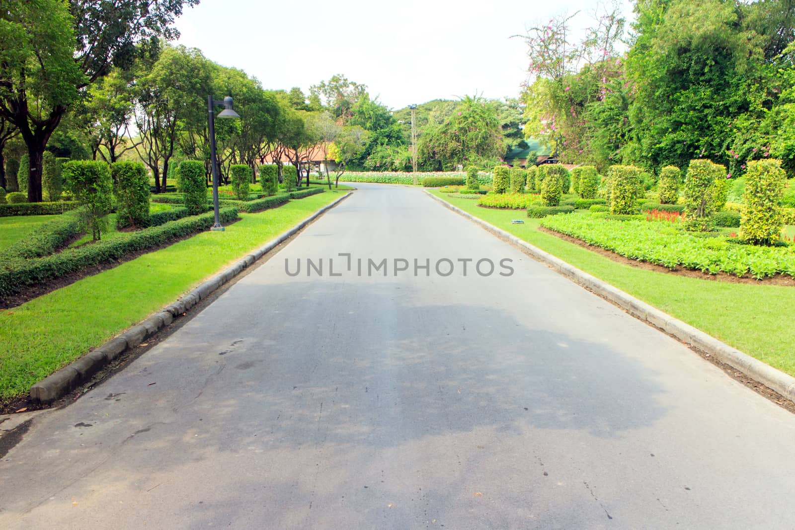 The road was empty and the garden around it.