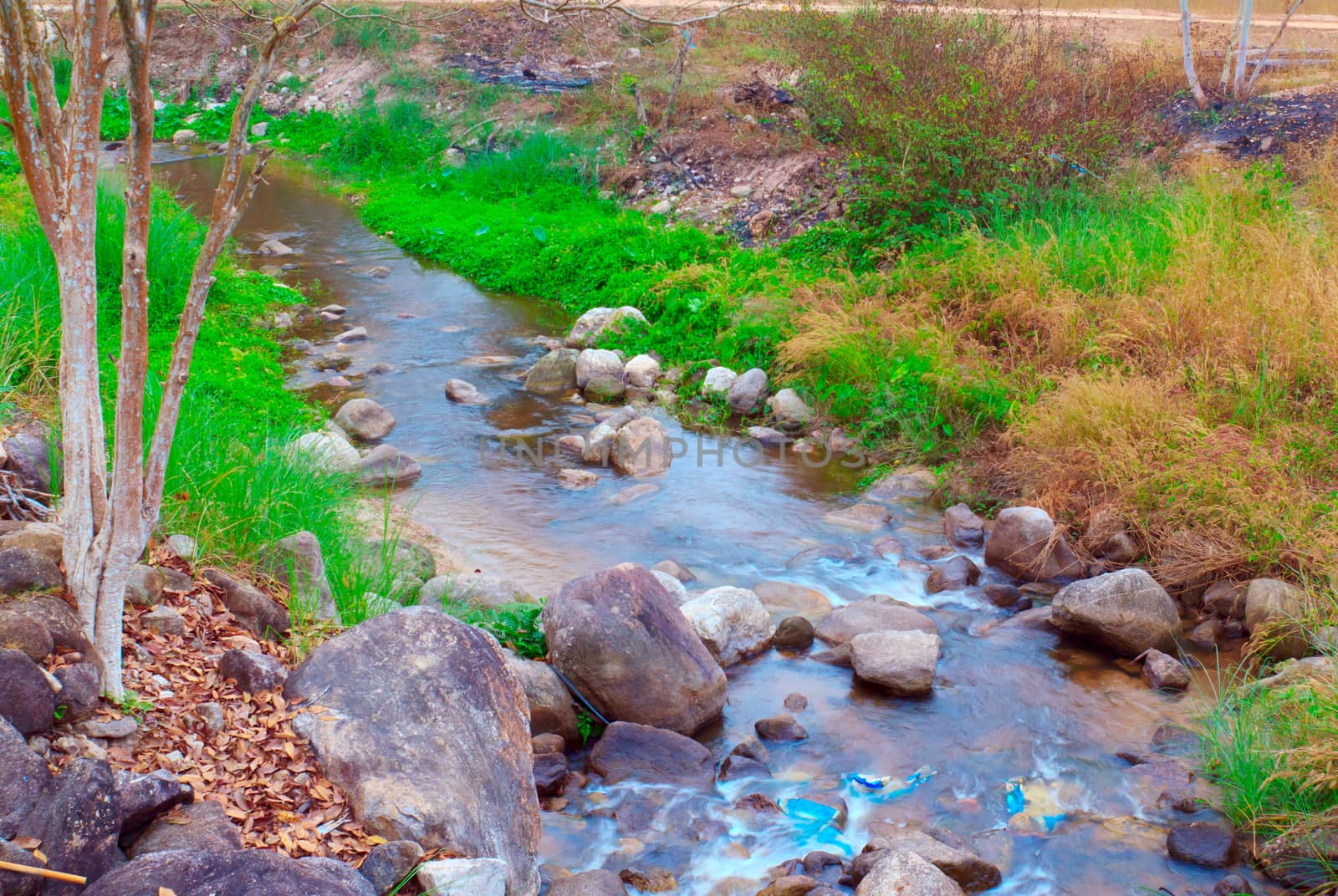 Forest creek running through the stones.